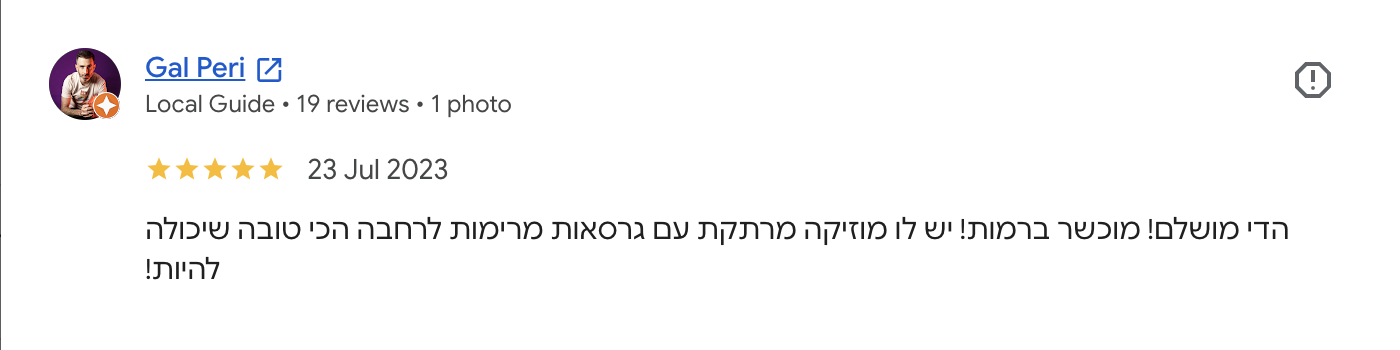 Google review — Gal Peri